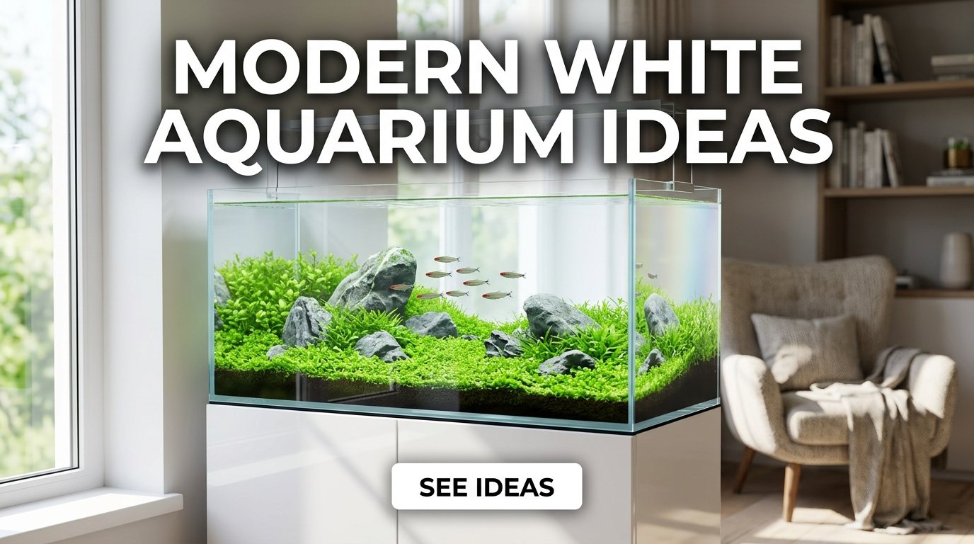 White Aquarium