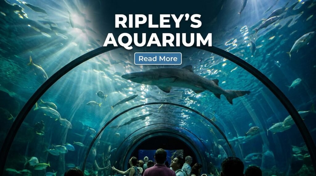 Ripley’s Aquarium